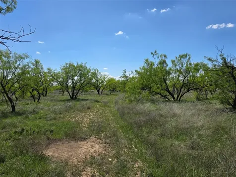 1709 County Road 330 Voss TX 76888