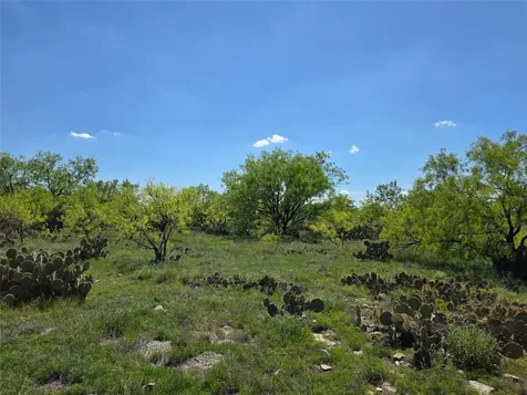 1709 County Road 330 Voss TX 76888