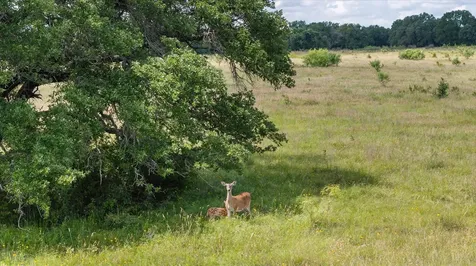 Tbd Cr 2200 Hico TX 76457