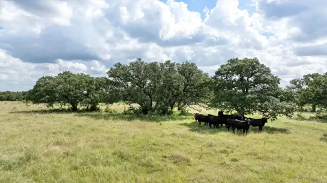 Tbd Cr 2200 Hico TX 76457