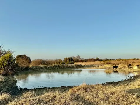 Tbd Cr 2200 Hico TX 76457