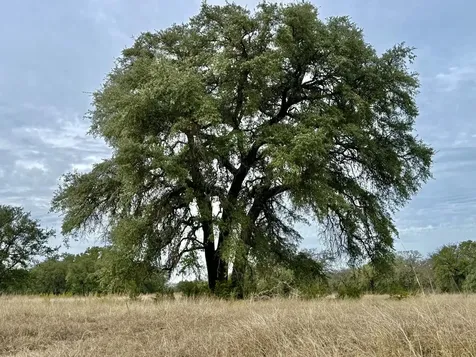Tbd Cr 2200 Hico TX 76457