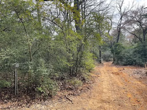 233 Pr 247 Oakwood TX 75855