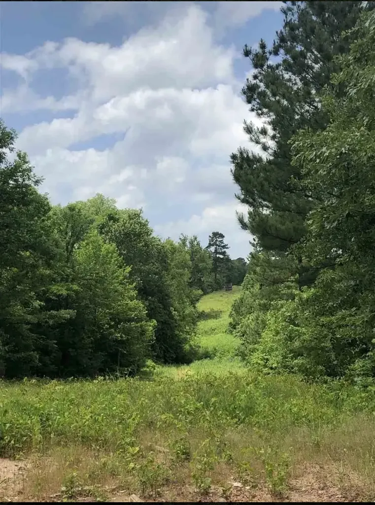 Tbd Aster Road Gilmer TX 75644