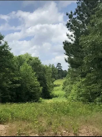 Tbd Aster Road Gilmer TX 75644