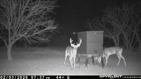 3574 E 180 Breckenridge TX 76424