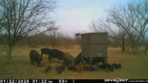 3574 E 180 Breckenridge TX 76424