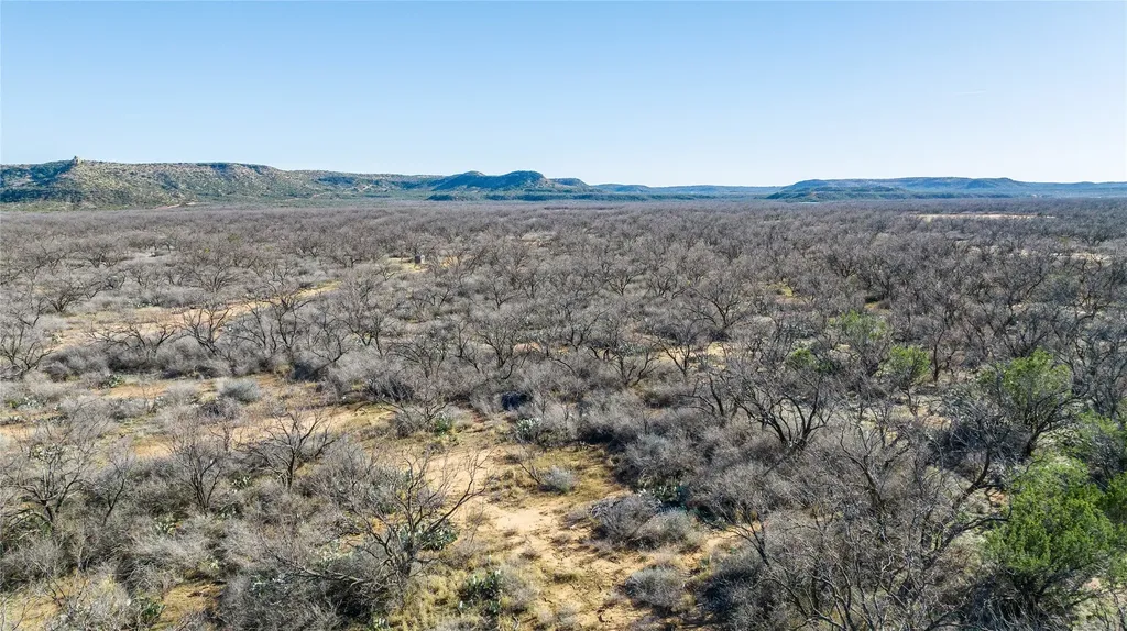 1000 Lometa Road Bronte TX 76933