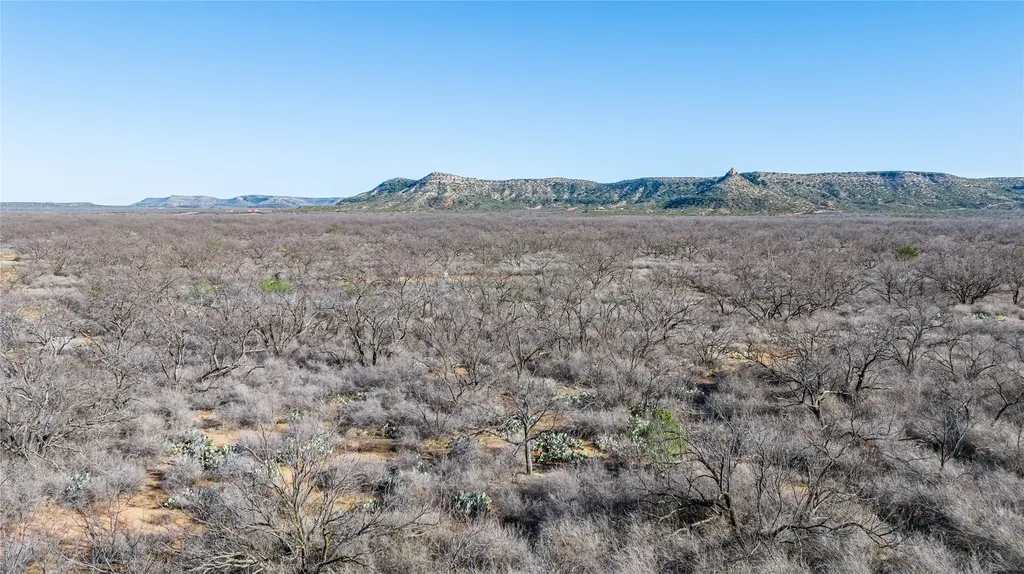 1000 Lometa Road Bronte TX 76933