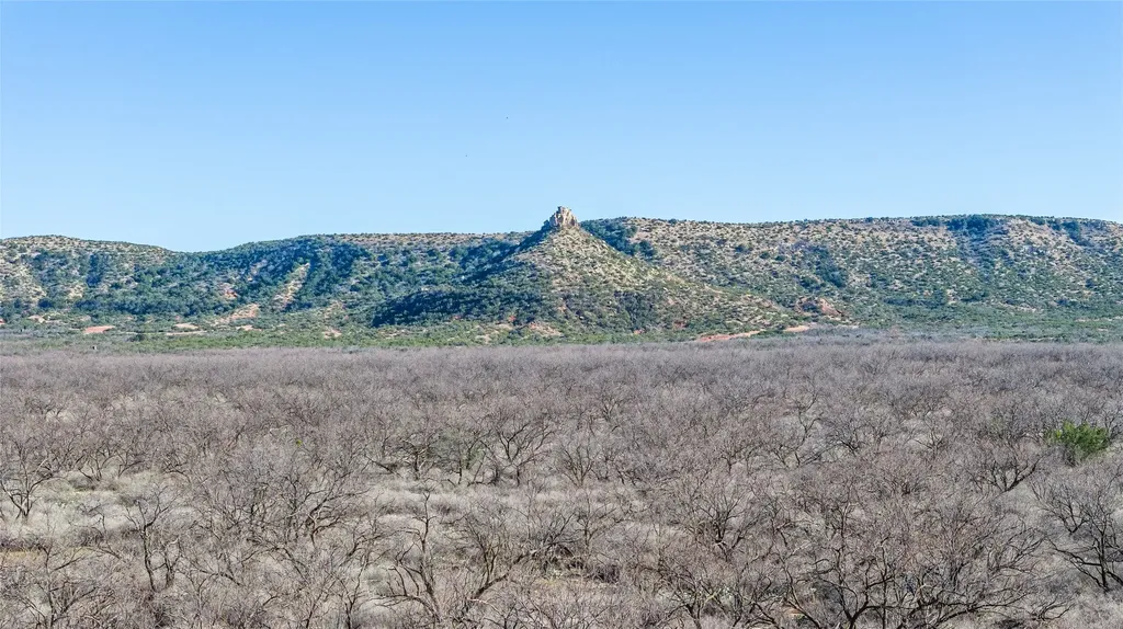 1000 Lometa Road Bronte TX 76933