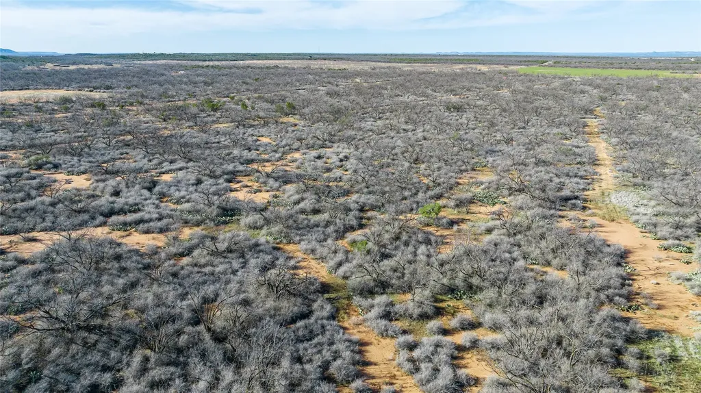 1000 Lometa Road Bronte TX 76933