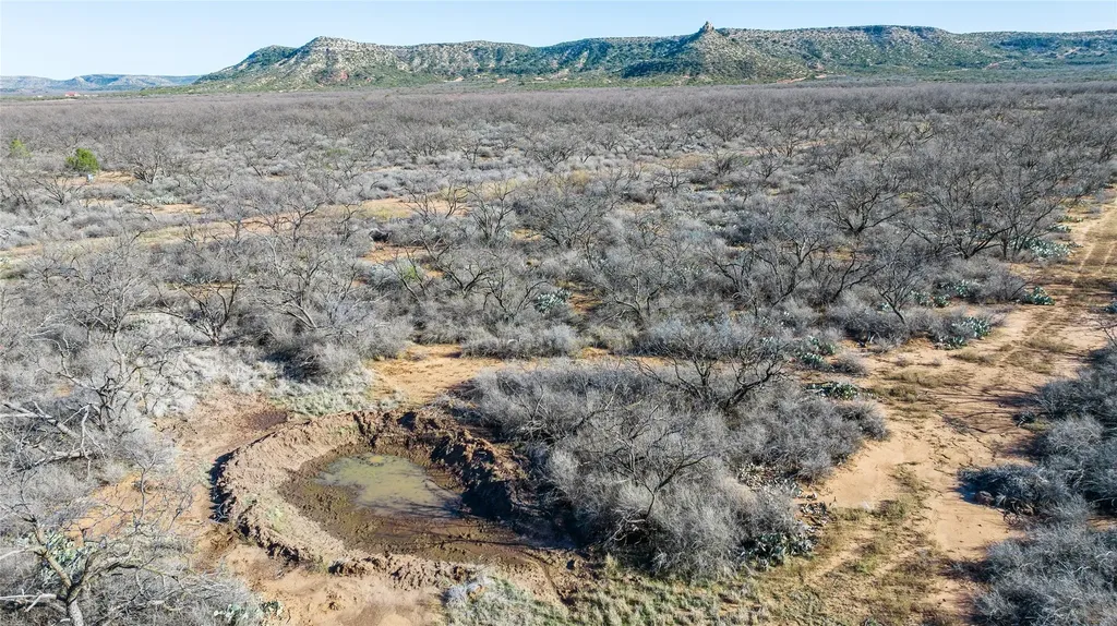 1000 Lometa Road Bronte TX 76933