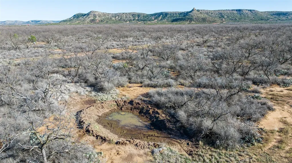 1000 Lometa Road Bronte TX 76933