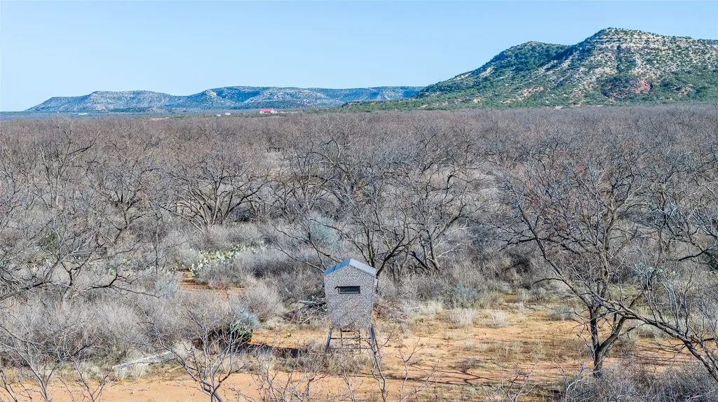1000 Lometa Road Bronte TX 76933