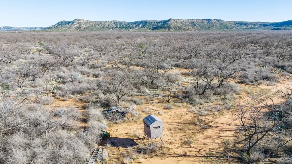 1000 Lometa Road Bronte TX 76933