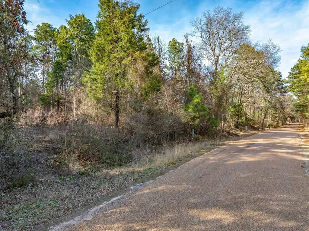 Tbd County Road 3520 Brownsboro TX 75756