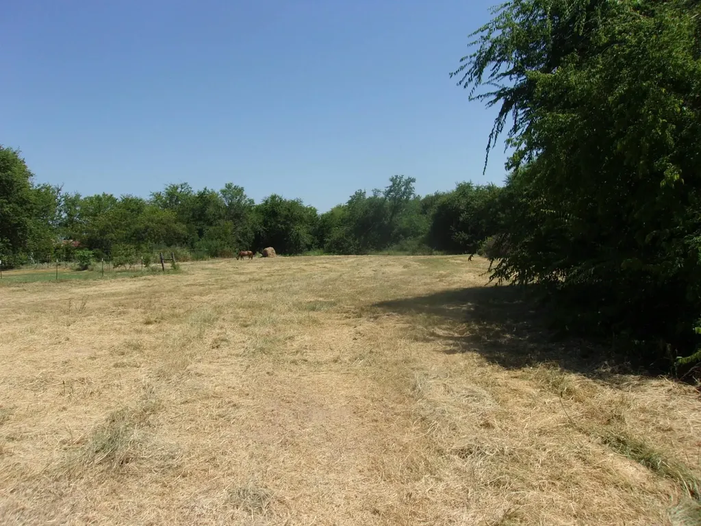 2846 County Road 2415 Pickton TX 75471