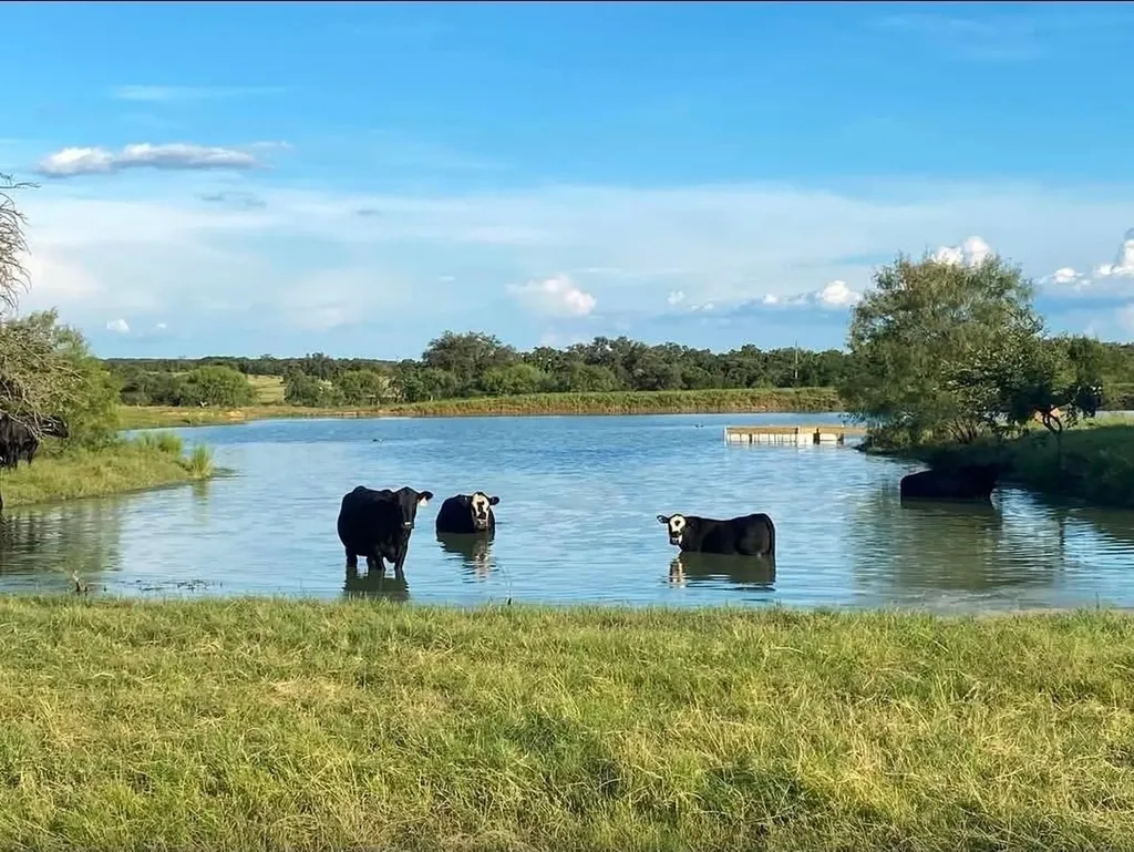 Lot 17 Brazos Mountain Ranch Mineral Wells TX 76067
