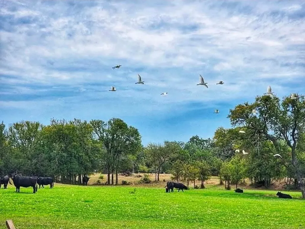 Lot 17 Brazos Mountain Ranch Mineral Wells TX 76067