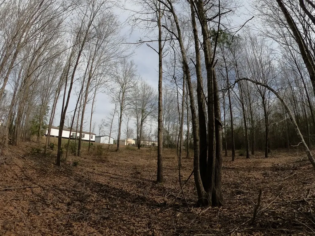 141 Tanglewood Drive Gilmer TX 75645