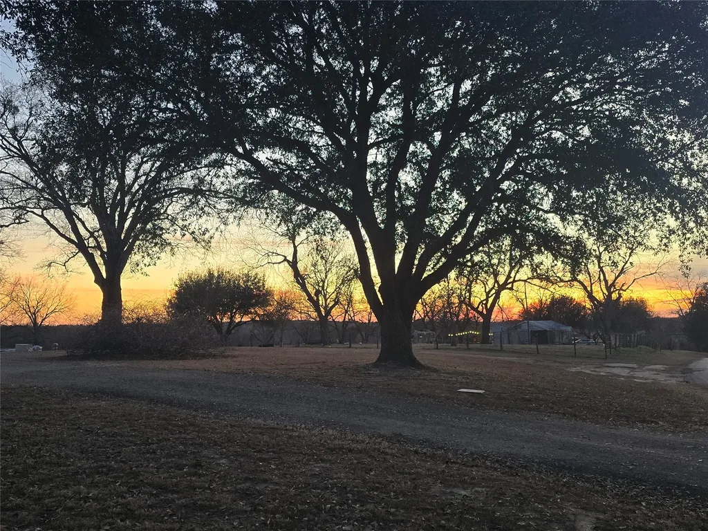 20086 County Road 299 Arp TX 75750