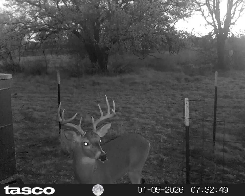 9500 Highway 377 S Brookesmith TX 76827