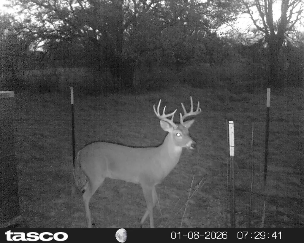 9500 Highway 377 S Brookesmith TX 76827