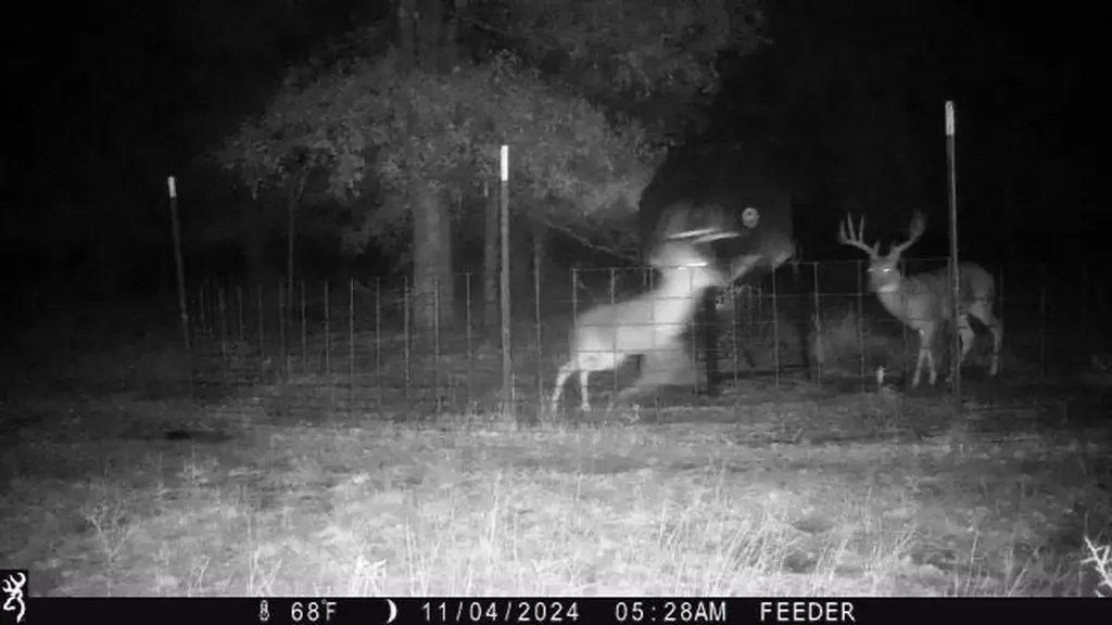 Tbt Fm 175 Jacksboro TX 76458