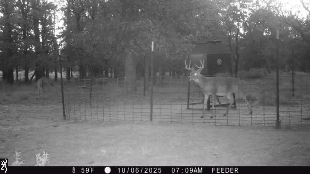 Tbt Fm 175 Jacksboro TX 76458
