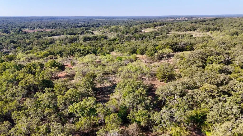 Tbt Fm 175 Jacksboro TX 76458