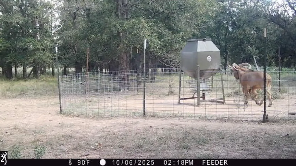 Tbt Fm 175 Jacksboro TX 76458
