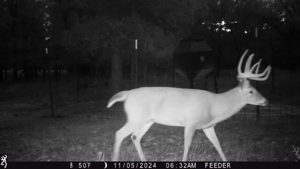 Tbt Fm 175 Jacksboro TX 76458