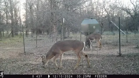 Tbt Fm 175 Jacksboro TX 76458