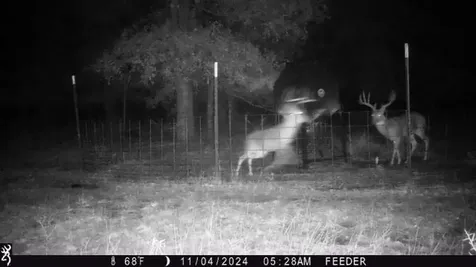 Tbt Fm 175 Jacksboro TX 76458