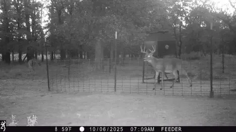 Tbt Fm 175 Jacksboro TX 76458