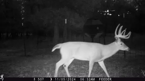 Tbt Fm 175 Jacksboro TX 76458
