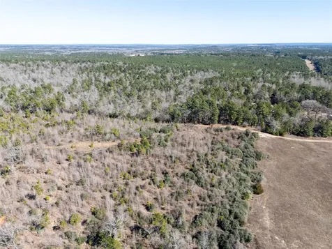 00000 County Road 442 Palestine TX 75803