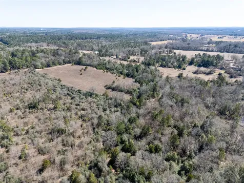 00000 County Road 442 Palestine TX 75803
