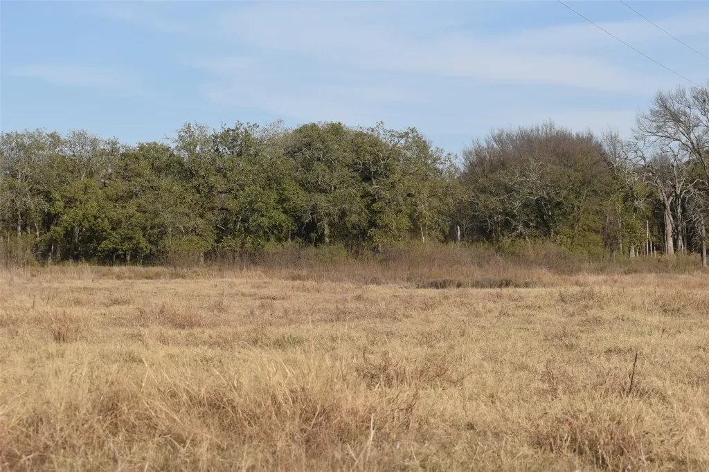 318 Fm 2488 Covington TX 76636
