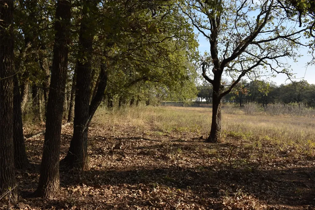 318 Fm 2488 Covington TX 76636