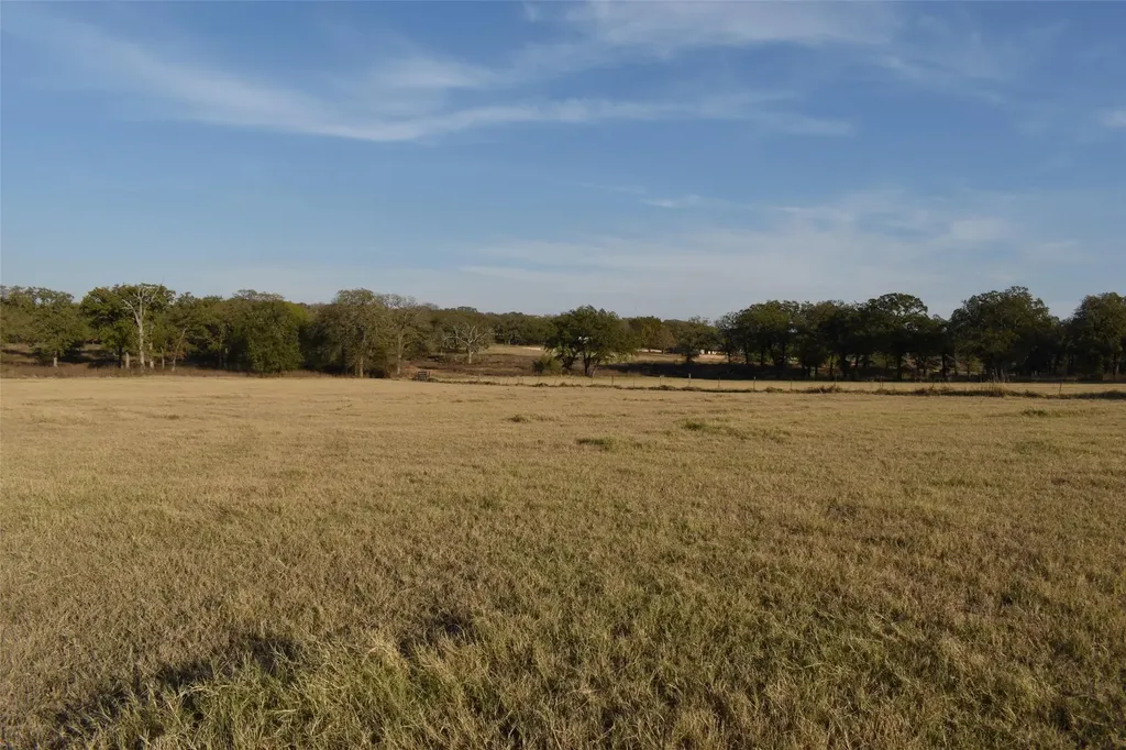 318 Fm 2488 Covington TX 76636