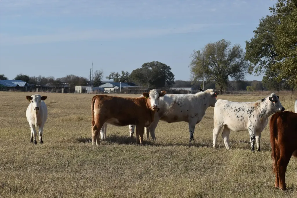 318 Fm 2488 Covington TX 76636