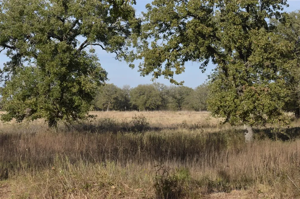 318 Fm 2488 Covington TX 76636