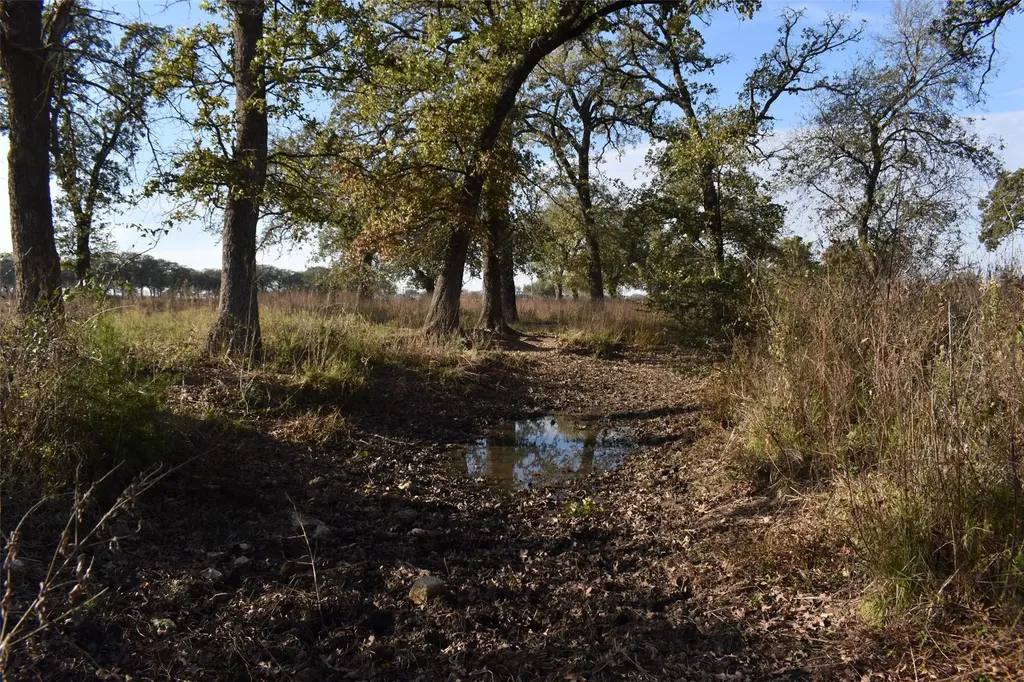 318 Fm 2488 Covington TX 76636