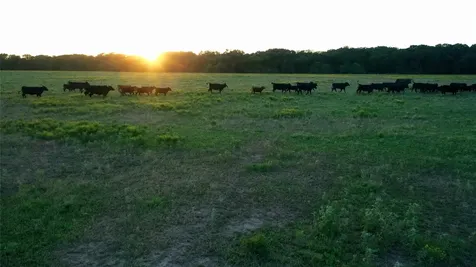 Tbd Lcr 623 Groesbeck TX 76642