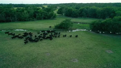 Tbd Lcr 623 Groesbeck TX 76642