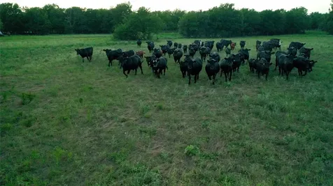 Tbd Lcr 623 Groesbeck TX 76642