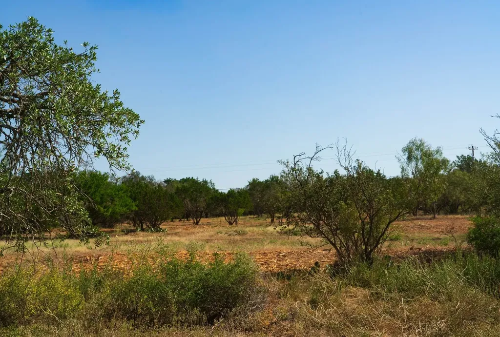 0 Old Ferry Road Spicewood TX 78669