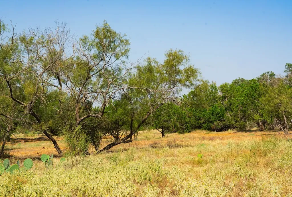 0 Old Ferry Road Spicewood TX 78669