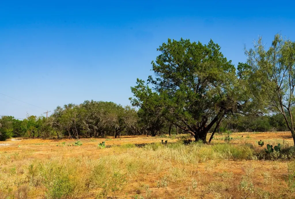 0 Old Ferry Road Spicewood TX 78669